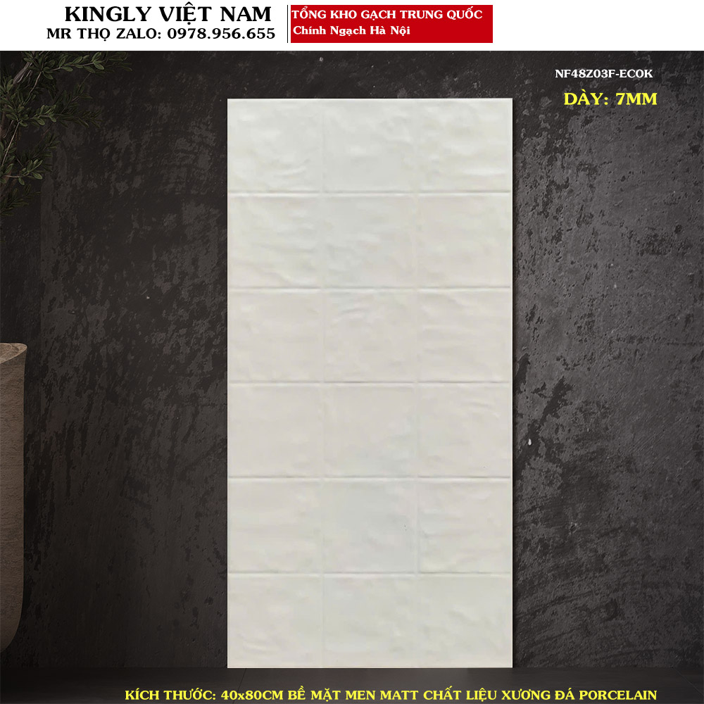 Gạch ốp tường giả gạch thẻ 40x80 Trung Quốc NF48Z03F